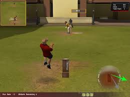 Play Galli Cricket Game