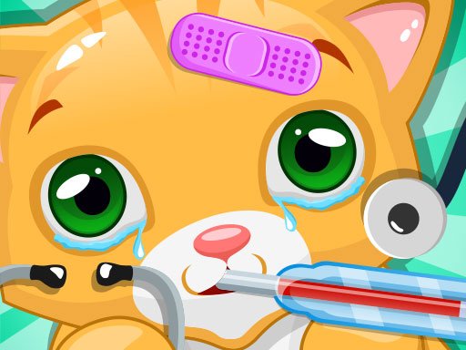 Play Little Cat Doctor Pet Vet Game