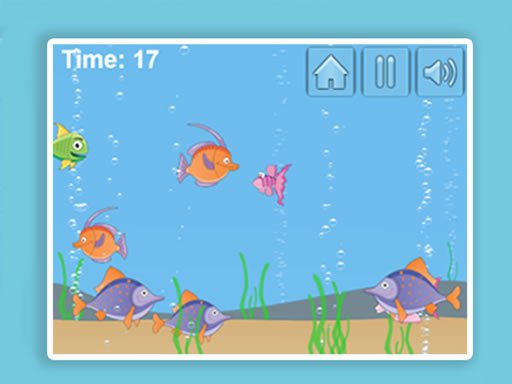 Play Aqua Challenge Game