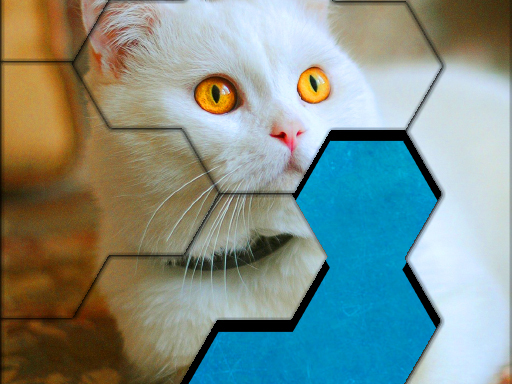 Play Blocks Hexa Jigsaw Puzzle Game