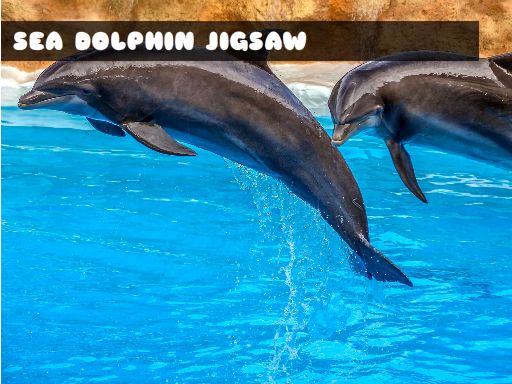 Play Sea Dolphin Jigsaw Game