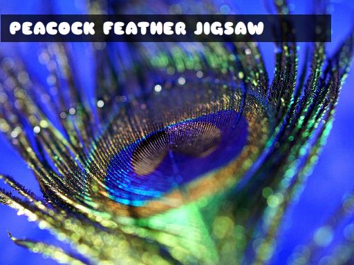 Play Peacock Feather Jigsaw Game