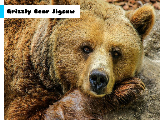 Play Grizzly Bear Jigsaw Game