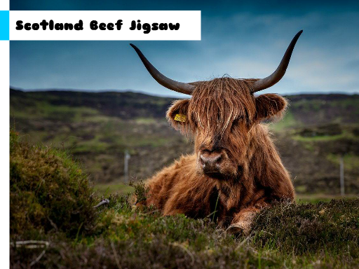 Play Scotland Beef Jigsaw Game