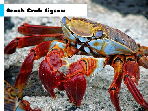 Play Beach Crab Jigsaw Game