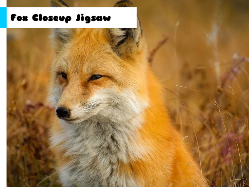 Play Fox Closeup Jigsaw Game