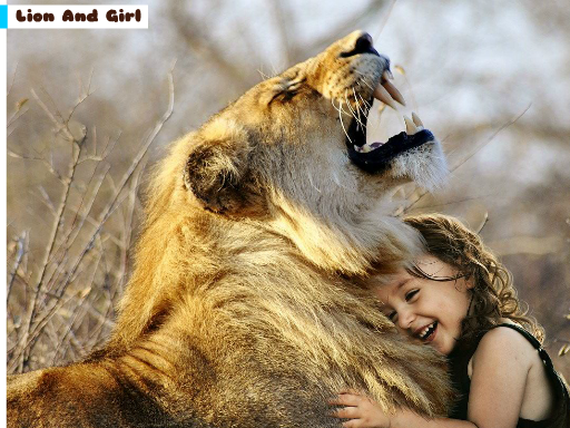 Play Lion And Girl Jigsaw Game