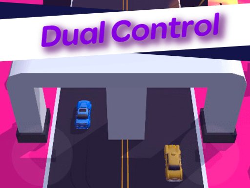 Play Dual Control 3D Game