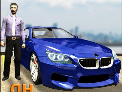 Play Real Car Parking Hero Game