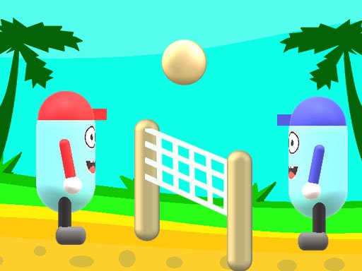 Play Beach Volleyball Game