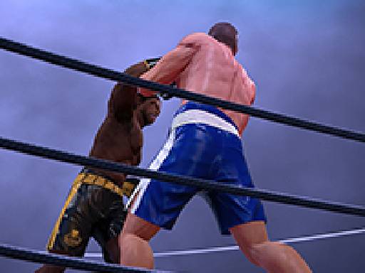 Play Ultimate Boxing Game