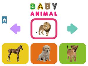 Play Baby Animal Game
