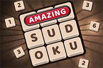Play Amazing Sudoku Game