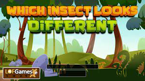Play Which Insect Looks Different Game
