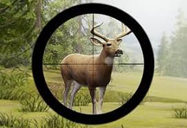 Play Contract Deer Hunter Game