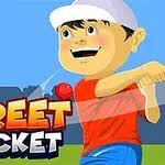 Play Street Cricket Game